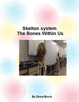 Skelton system