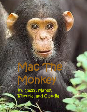 Mac The Monkey