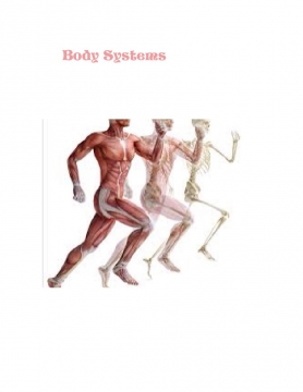 Body Systems!