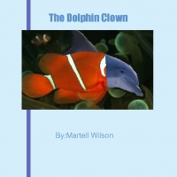 THE DOLPHIN CLOWN