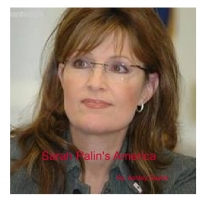 Sarah Palin's America