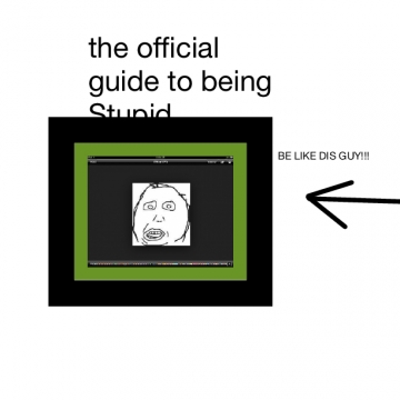 The official guide to being Stupid