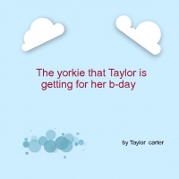 the yorkie taylor is getting for her b-day