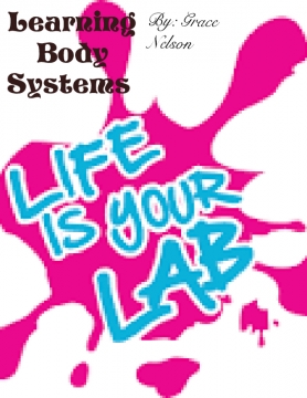 Learning body systems