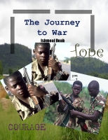 The Journey to War