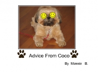 Advice from Coco