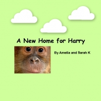 A New Home for Harry