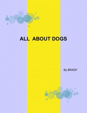 ALL ABOUT DOGS