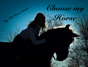 Choose My Horse