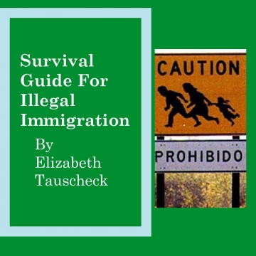 Immigration survival guide