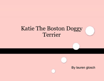 Katie The Boston Doggy Terrier