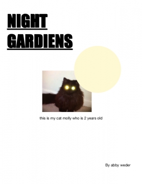 night gardiens