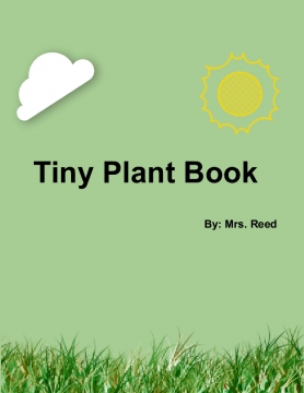 Tiny Plant Book