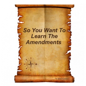 So You Want To Learn The Amendments
