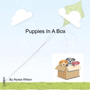 Puppies In A Box