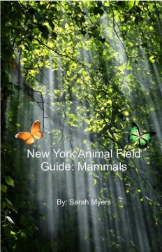 New York Animal Field Guide