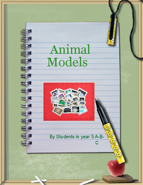 Animal Models