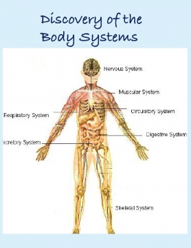 Discovery of the Body Systems