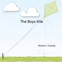 The boys kite