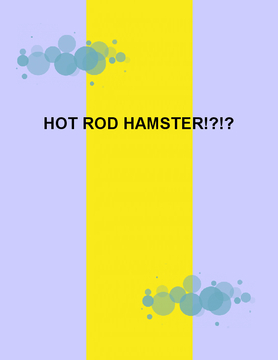 HOT ROD HAMSTER