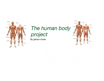 The human body project