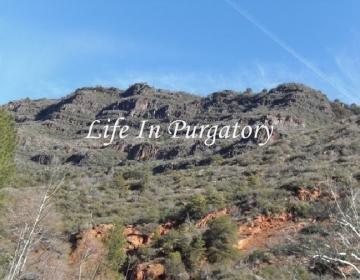 The Inside Scoop on all 14 of the Life In Purgatory characters