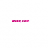 wedding of 2009