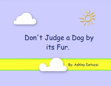 Don't Judge a Dog by its Fur