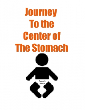 Journey to the center of the stomach