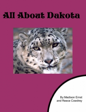 All About Dakota