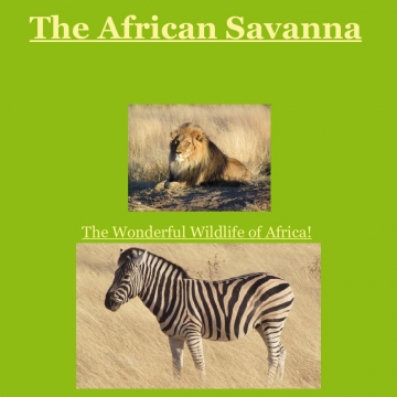 The African Savanna