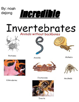 Incredible invertebrates