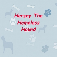 Hershey The Homeless Hound