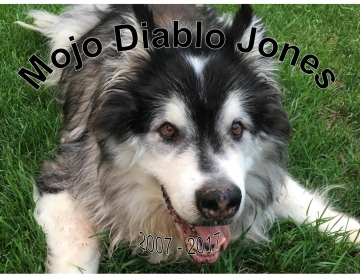 Mojo Diablo Jones