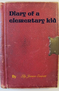 Diary of a elementary kid
