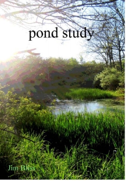 Pond Study