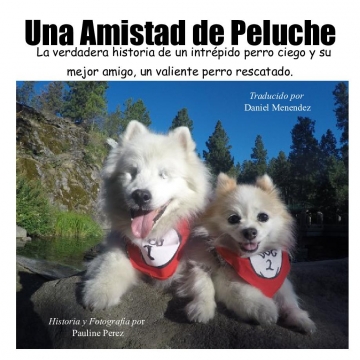 Una Amistad de Peluche