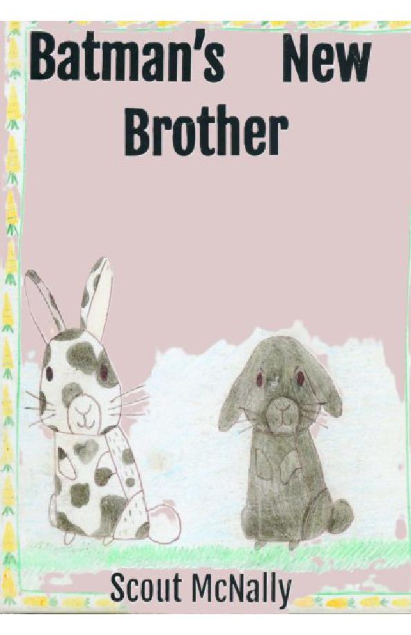 book cover