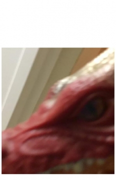 *