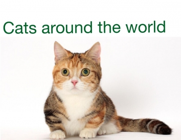 The cat breeds of the world