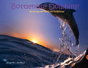 Bottlenose dolphins!