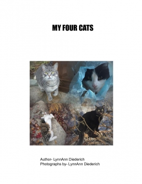 My Four Cats