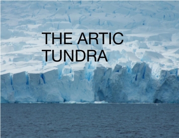 Amazing Arctic Tundra