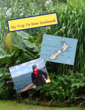 My Trip To New Zealand
