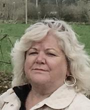 author icon