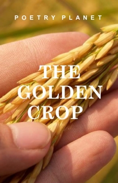 The Golden Crop