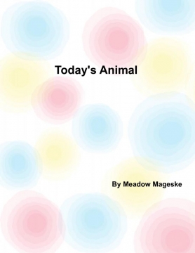Today's animal
