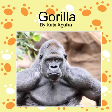 Gorillas