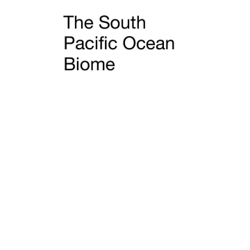 The South Pacific Ocean Biome