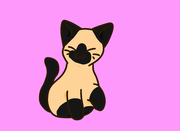 author icon